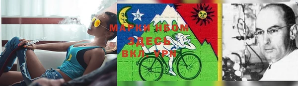 кокаин Белокуриха